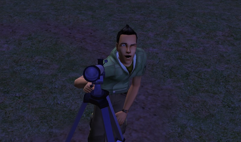 41.jpg