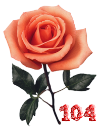 0_fb3d6_92a80687_M.png