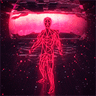 rw16.gif