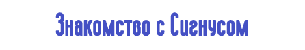13.png