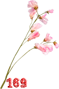 0_fb417_e2d5bb11_M.png
