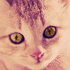 cb12d8658f81a5f55f631e3878bcd7b7.jpg