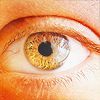 d78d0ac6b7b23d9a45b6c1d3ad9753b4.png