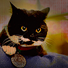 e97067f03c186c06d54974c36db7d4ad.png