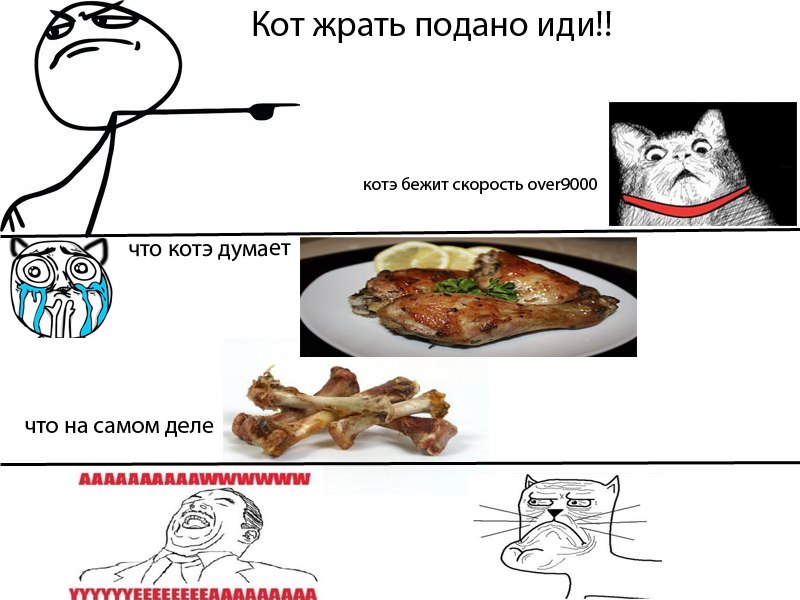 y_d4da359e.jpg
