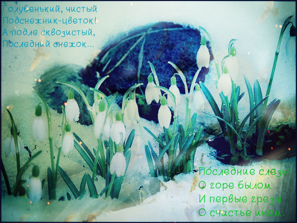 a92b8ff67901acb9205c83cf44e2f430.jpg