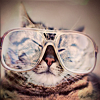 0feb08ce59c0ce97f4ad1c6c40a788fa.png