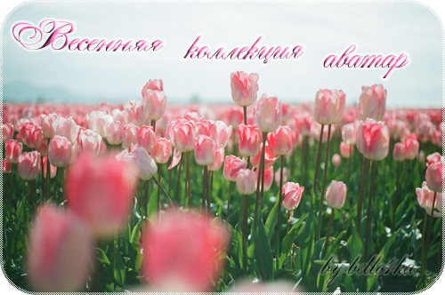 fda1d6fbe9e0b4849f67b60ae393c003.png