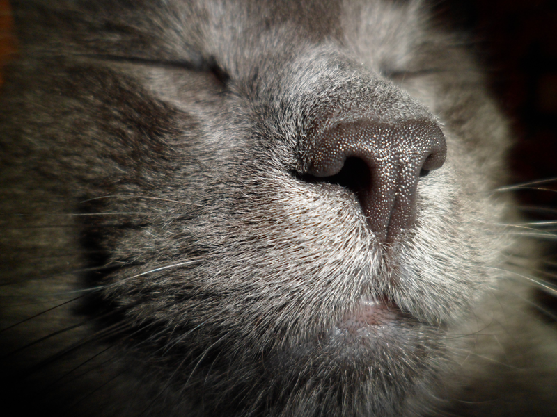 649d251888eb0c30ebed72f60a5ef2af.png