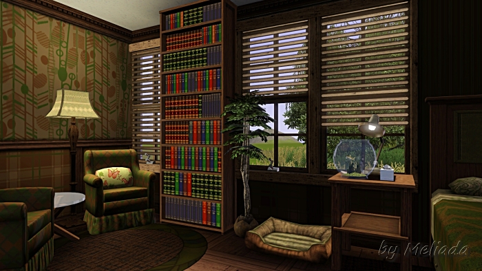 0_e8c69_fa44363b_orig