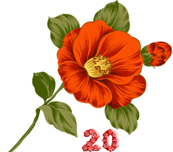 0_fb382_2a168ad6_M.png