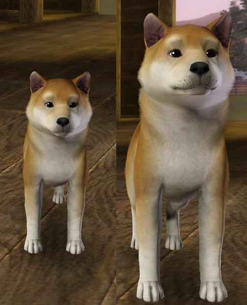 n8t6VDP.png