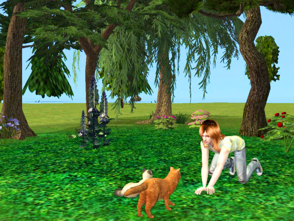 0_10b43a_95e1bf17_orig.jpg