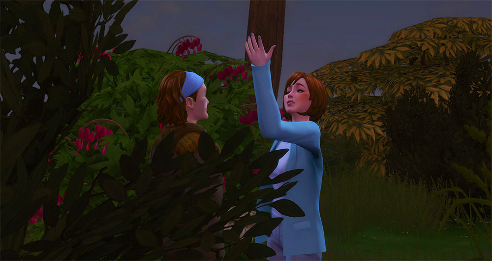 SWnE8cj.jpg