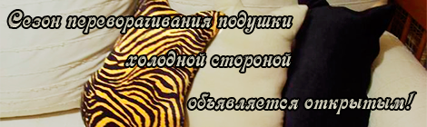 3X8BWMi.png