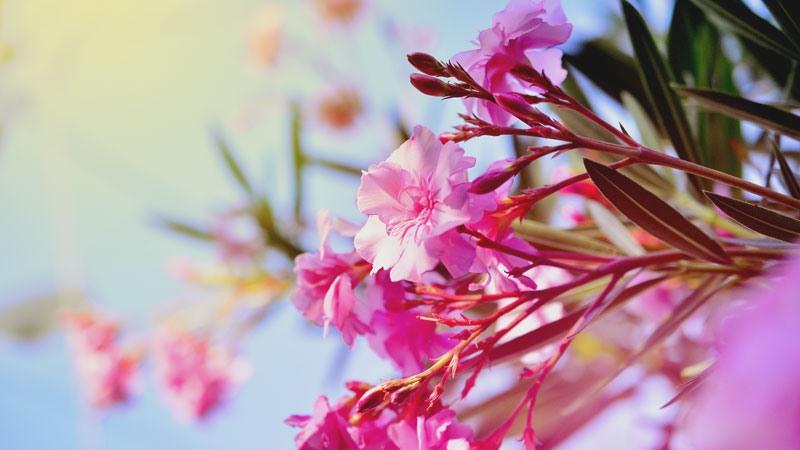 0_16761a_febd7f50_orig.jpg