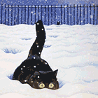 winter19-003.gif