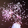 82f3a15571fc155e1e45bd831b877237.png