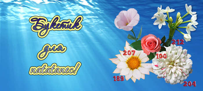 785d2462e76ba24c046ddc4cad6d23bf.png
