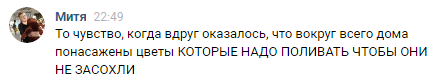 AFb6iQ7.png