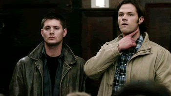 b8c914ec1f4413355ff5111b10a89149.gif