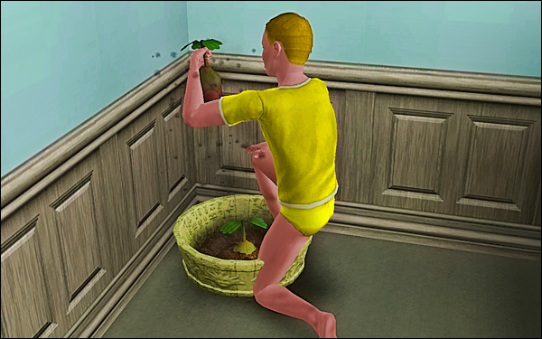 oO6MO64.png