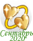 202009_7.png