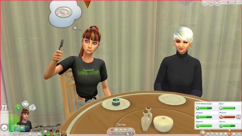 TS4-x64-2020-01-13-20-23-07-95.jpg