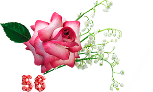 0_fb3a6_d8935836_M.png