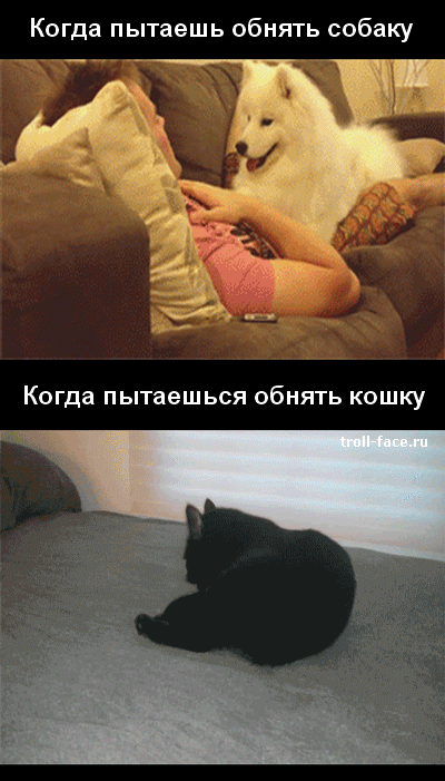1442389846167413251.gif