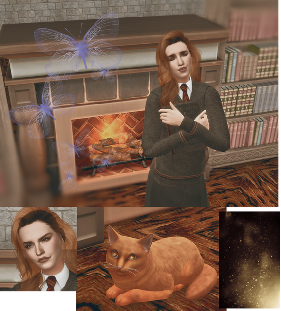 6.png