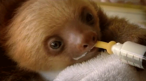 image_861208151556409145835.gif