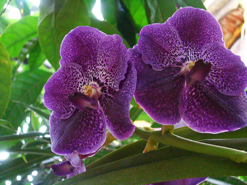 0_1acdb3_d0950e85_orig.png