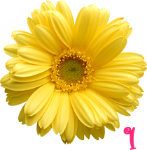 0_131ba6_54aba960_orig.png