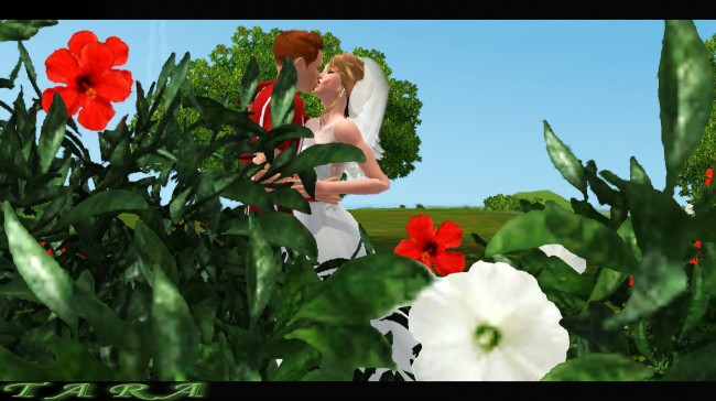 c158201bd5bff9140e2df688d5efd0e4.jpg
