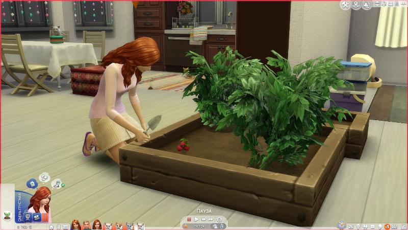 TS4-x64-2019-02-17-01-00-51-52.jpg