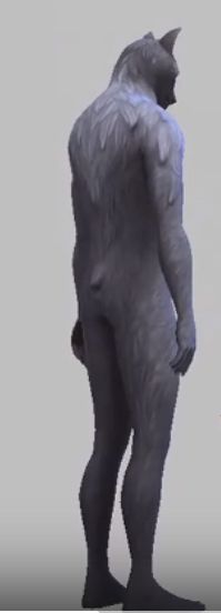 11-1.png