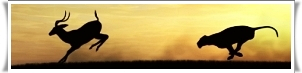 d6517c86f90a37026ab9704640866720.png