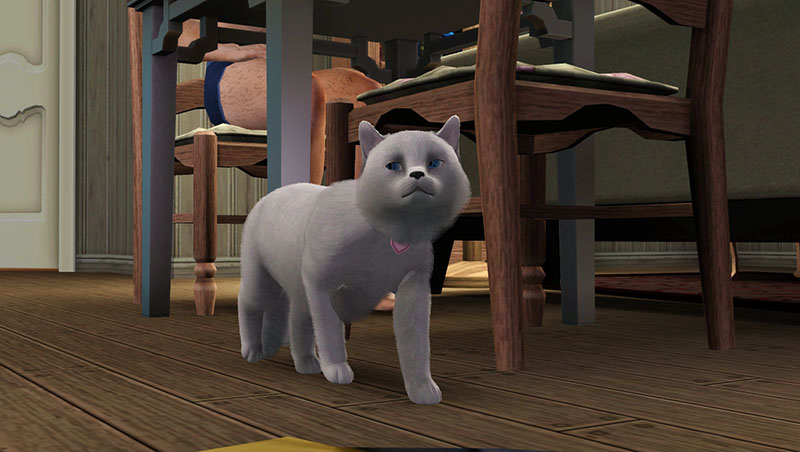 Screenshot-17.jpg