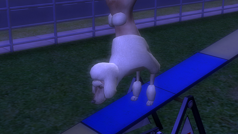 q0pHjZ1.png