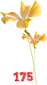 0_fb41d_f1dd35e1_M.png
