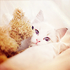 65fe02846dbc45153ad453f8311fad5e.png
