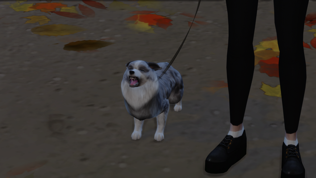 xTizVxD.png