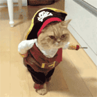 3.gif