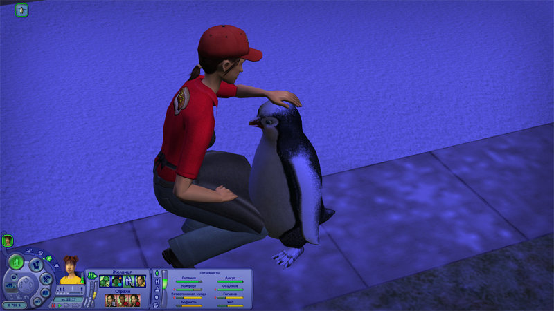 13.png