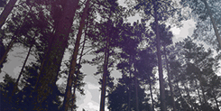 LyA9DQD.gif