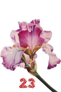0_fb385_c1830ff_M.png