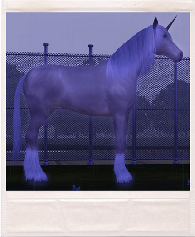 ZRW83KI.jpg