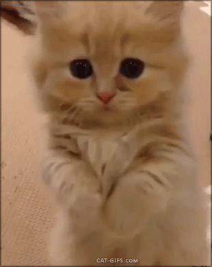 tumblr_nwn2jnP3Pl1ucw7ggo1_400.gif