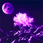 rw11.gif